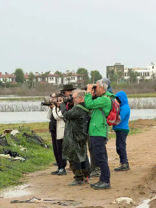 Göç Yolunda Antalya'nın Nadir Misafirleri 1